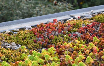the cost of Muker green roof installation